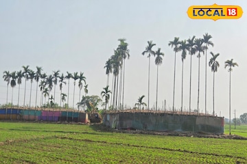 দোলের আগেই শীতের সম্পূর্ণ বিদায়? নাকি শিরশিরানি বাতাসেই খেলতে হবে রং? জানুন পূর্বাভাস দোলের আগেই শীতের সম্পূর্ণ বিদায়? নাকি শিরশিরানি বাতাসেই খেলতে হবে রং? জানুন পূর্বাভাস