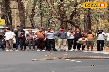 সেবক রোডে ‘দৈত্যাকার’ অতিথি...! NH10-এ পাইথনের Video ঝড়ের গতিতে ভাইরাল সেবক রোডে ‘দৈত্যাকার’ অতিথি...! NH10-এ পাইথনের Video ঝড়ের গতিতে ভাইরাল