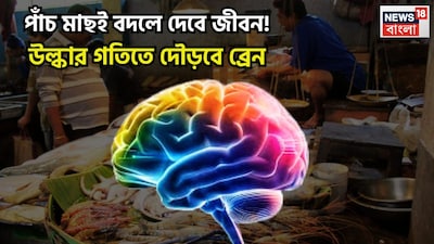 মস্তিষ্কের জন্য মাছ অতন্ত গুরুত্বপূর্ণ ভূমিকা গ্রহণ করে থাকে ৷ এরজন্য প্রতিদিন নিয়ম করে মাছ খাওয়াটা অত্যন্ত জরুরি ৷ প্রতীকী ছবি ৷
