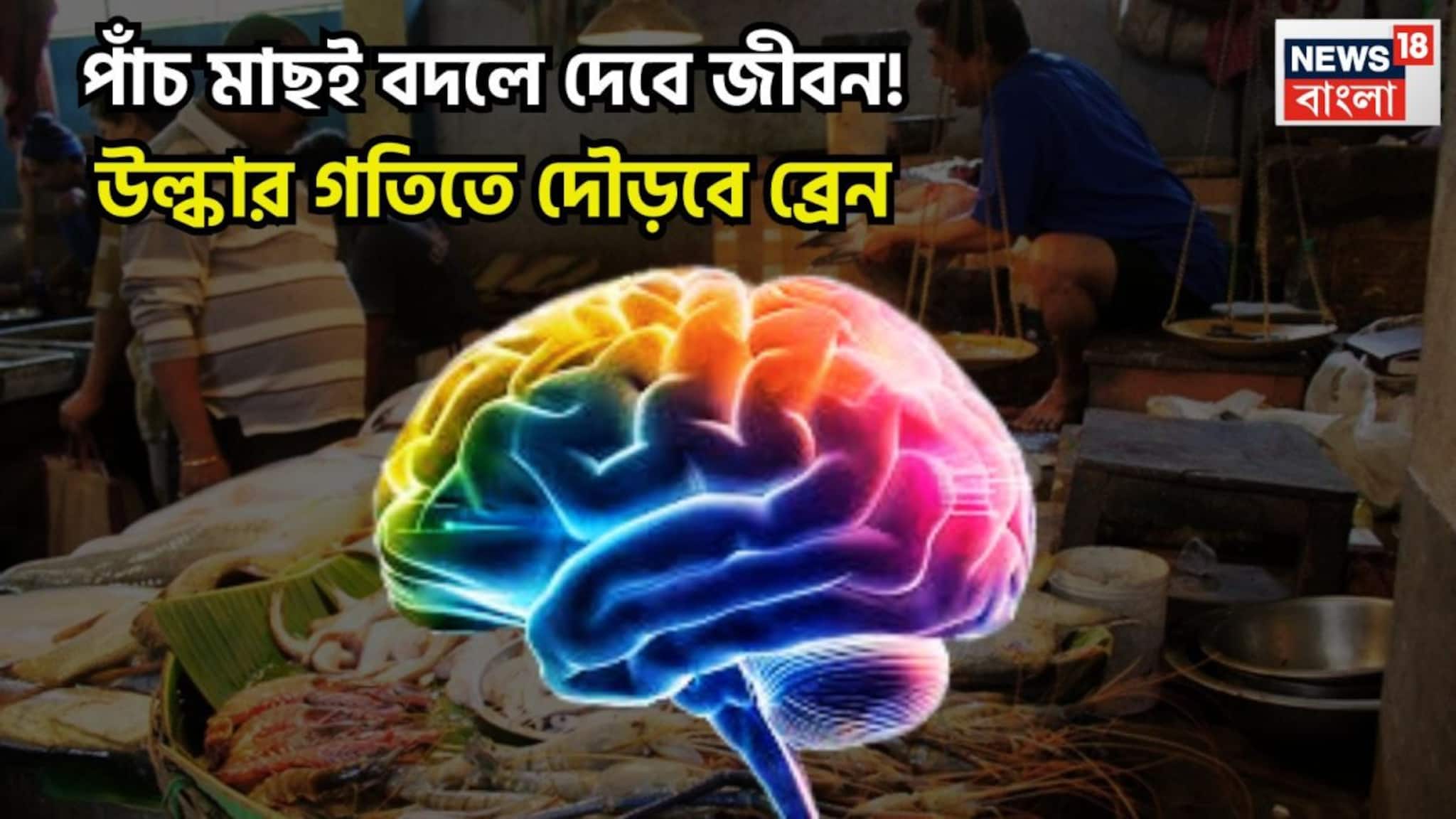 Brain Booster Fish: উল্কার গতিতে দৌড়বে ব্রেন! পাঁচ মাছই অমৃতের সমান, এনার্জিতে ভরপুর সারাদিন চাঙ্গা ও চনমনে