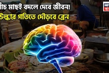 Brain Booster Fish: উল্কার গতিতে দৌড়বে ব্রেন! পাঁচ মাছই অমৃতের সমান, এনার্জিতে ভরপুর সারাদিন চাঙ্গা ও চনমনে