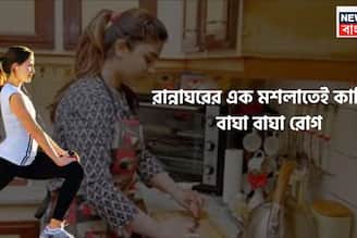 রান্নাঘরের এক মশলাতেই কাহিল  বাঘা বাঘা রোগ! শরীর থাকবে টানটান, মাইল দূরে জীবাণুও