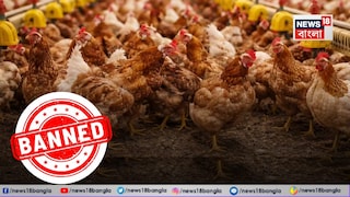 ভারত-সহ ৩৯টি দেশ থেকে মুরগি ও ডিম আমদানি নিষিদ্ধ করল সৌদি আরব ভারত-সহ ৩৯টি দেশ থেকে মুরগি ও ডিম আমদানি নিষিদ্ধ করল সৌদি আরব