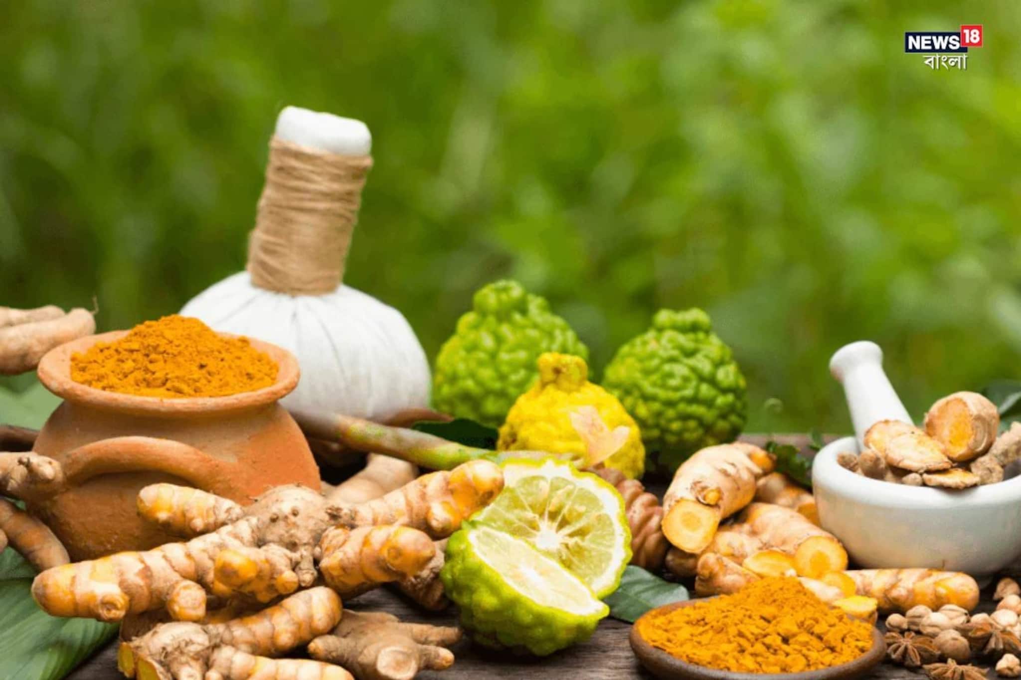 ভাইরাল স্বাস্থ্য সঙ্কটের সময় আয়ুর্বেদ কীভাবে প্রতিরোধ ক্ষমতাকে শক্তিশালী করে জেনে নিন