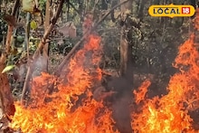 West Medinipur News: মানুষের সামান্য অসচেতনতায় বিধ্বংসী দাবানল! পুড়ে ছাই কয়েক হেক্টর বনভূমি, হুমকির মুখে জঙ্গলমহল, সতর্ক করছেন বিশেষজ্ঞরা