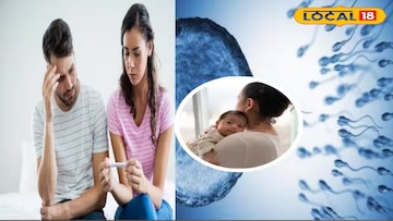 সন্তানধারণের জন্য শুক্রাণুর সংখ্যা কত হওয়া প্রয়োজন! 'কম শুক্রাণু' বলতে কী বোঝায়? জানুন সন্তানধারণের জন্য শুক্রাণুর সংখ্যা কত হওয়া প্রয়োজন! 'কম শুক্রাণু' বলতে কী বোঝায়? জানুন