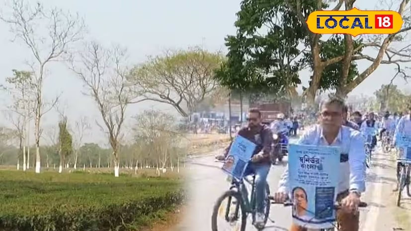 ডুয়ার্সের সবুজ চা বাগানের আঁকাবাঁকা পথ। তার মধ্যেই হঠাৎ চোখে পড়ছে এক অন্য ছবি— সাইকেল চালিয়ে আসছেন এক প্রশাসনিক কর্তা, পিছনে সারি বেঁধে স্কুল পড়ুয়ারা। এখন প্রশ্ন উঠতে পারে, কেন এই ব্যতিক্রমী উদ্যোগ? চা বাগান এলাকায় ঘুরে ঘুরে তিনি কী খুঁজছেন? (ছবি ও তথ্যঃ সুরজিৎ দে) ডুয়ার্সের সবুজ চা বাগানের আঁকাবাঁকা পথ। তার মধ্যেই হঠাৎ চোখে পড়ছে এক অন্য ছবি— সাইকেল চালিয়ে আসছেন এক প্রশাসনিক কর্তা, পিছনে সারি বেঁধে স্কুল পড়ুয়ারা। এখন প্রশ্ন উঠতে পারে, কেন এই ব্যতিক্রমী উদ্যোগ? চা বাগান এলাকায় ঘুরে ঘুরে তিনি কী খুঁজছেন? (ছবি ও তথ্যঃ সুরজিৎ দে)