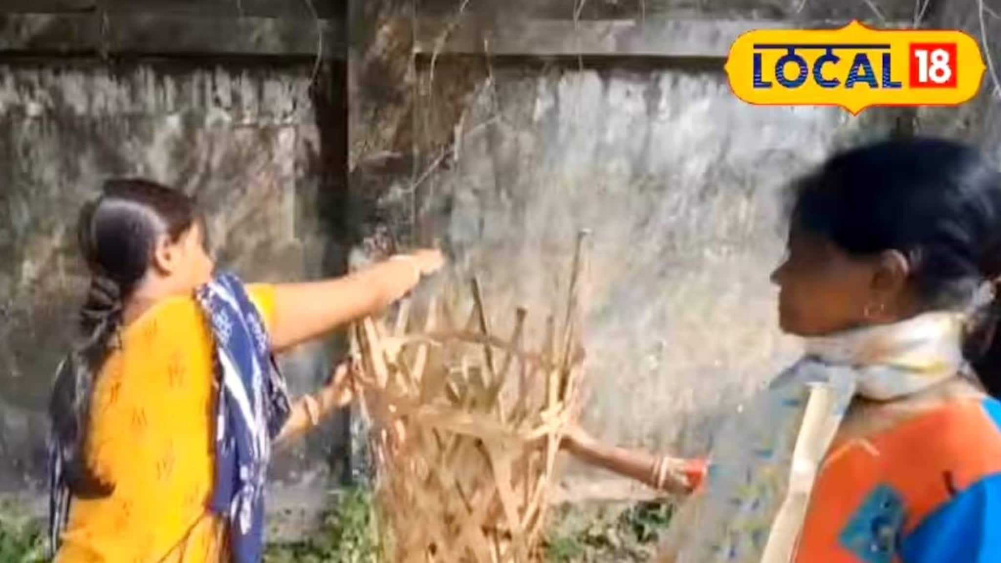 কংক্রিটের যুগে সবুজে মুড়বে জলপাইগুড়ি! গ্রিন করিডর গড়ার লক্ষ্যে ‘Women for Trees’