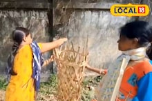 Jalpaiguri News: কংক্রিটের যুগে সবুজে মুড়বে জলপাইগুড়ি! গ্রিন করিডর গড়ার লক্ষ্যে ‘Women for Trees’, খরচ ধরা হয়েছে প্রায় ৫৪ লক্ষ