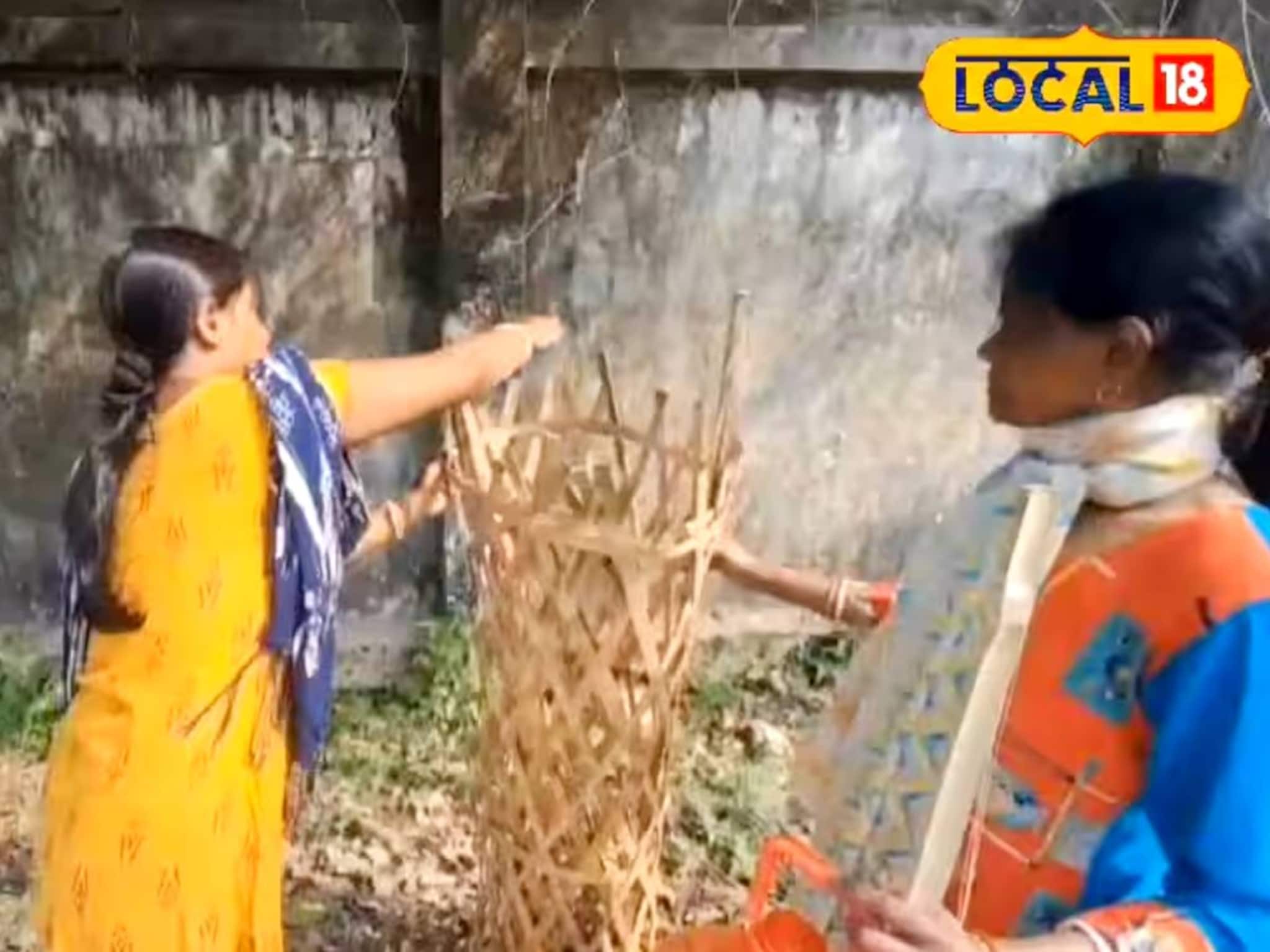 কংক্রিটের যুগে সবুজে মুড়বে জলপাইগুড়ি! গ্রিন করিডর গড়ার লক্ষ্যে ‘Women for Trees’