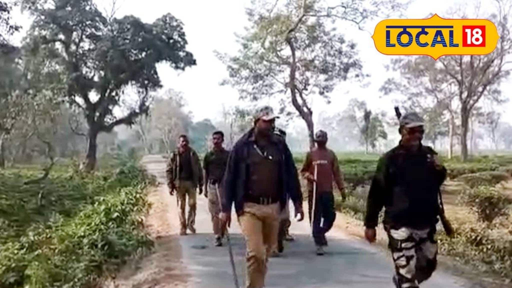 Jalpaiguri News: ঘাস কাটার সময় আচমকা বাইসনের হামলা! শিংয়ের গুঁতোয় মৃত্যু মহিলার, ভয়ে কাঁপছে গোটা এলাকা