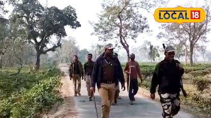 এলাকায় আতঙ্কের পরিবেশ এলাকায় আতঙ্কের পরিবেশ