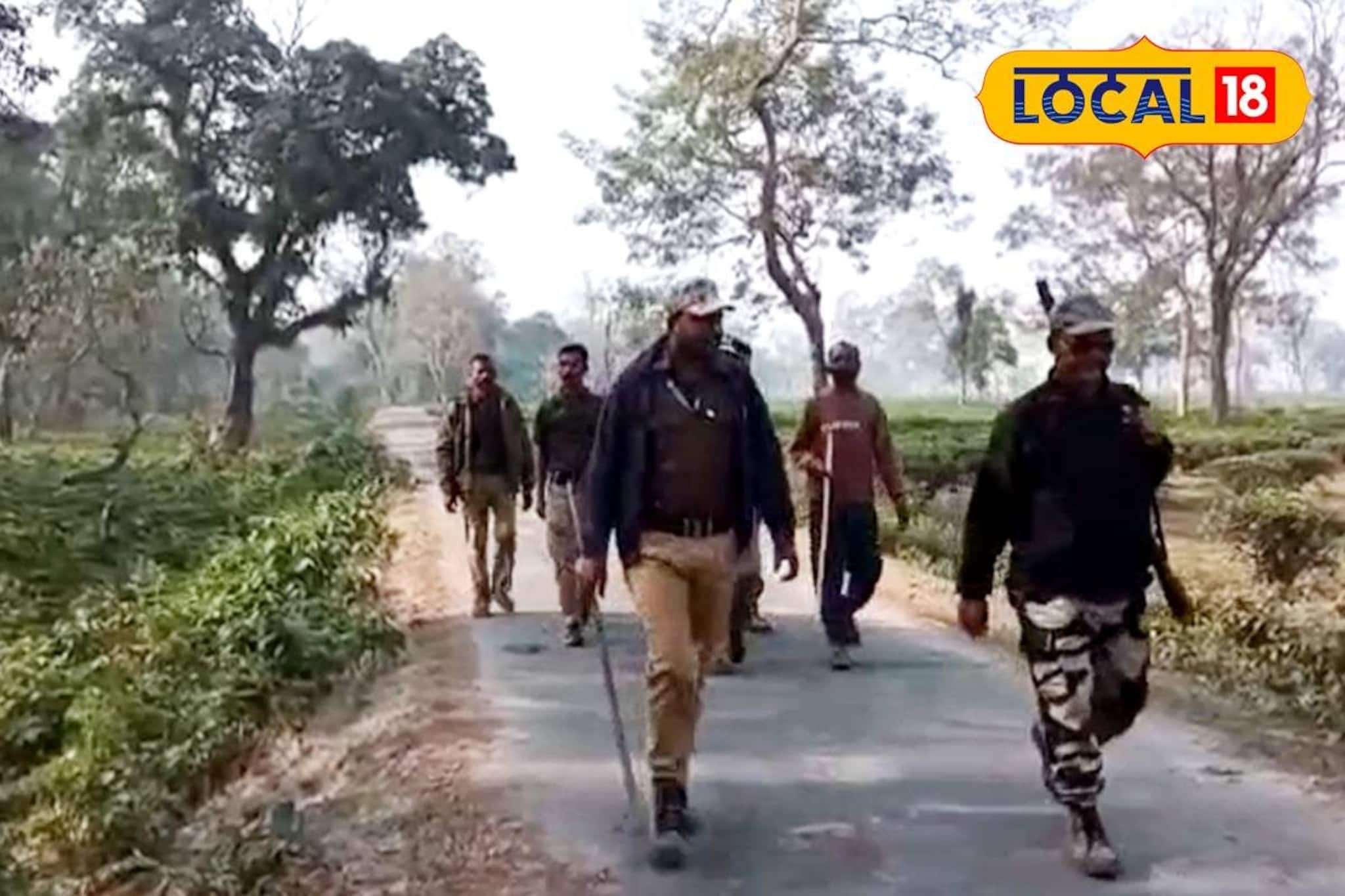 ঘাস কাটার সময় আচমকা বাইসনের হামলা! শিংয়ের গুঁতোয় মহিলার মৃত্যু