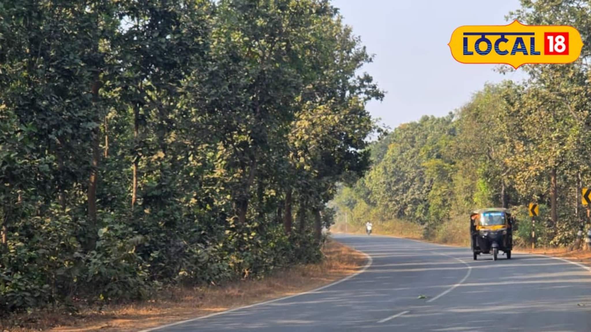 IMD Jhargram Weather Update: পারদ একই রকম থাকলেও ঝাড়গ্রামে বাড়ছে গরম! কী হতে চলেছে দিনভর জানালো আবহাওয়া দফতর