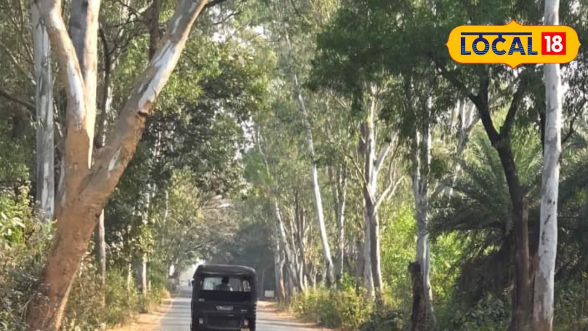 IMD Jhargram Weather Update: পারদ আরও নামল ঝাড়গ্রামে! নতুন করে শীতের আমেজ জেলায়, কেমন থাকবে দিনভর জানালো আবহাওয়া দফতর