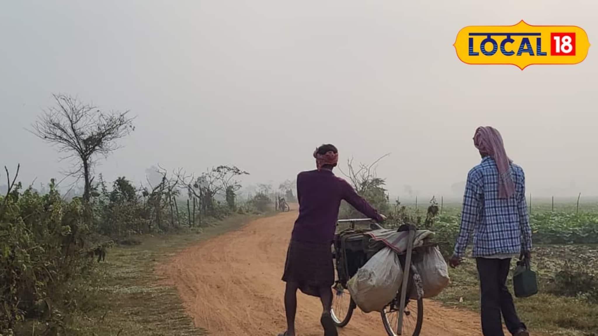 Jhargram Weather Today: সকাল থেকে হু-হু করে বইছে ঠান্ডা হাওয়া, কুয়াশামাখা সকালে ঝাড়গ্রামে আবার শীতের আমেজ! পর্যটকদের পোয়াবারো