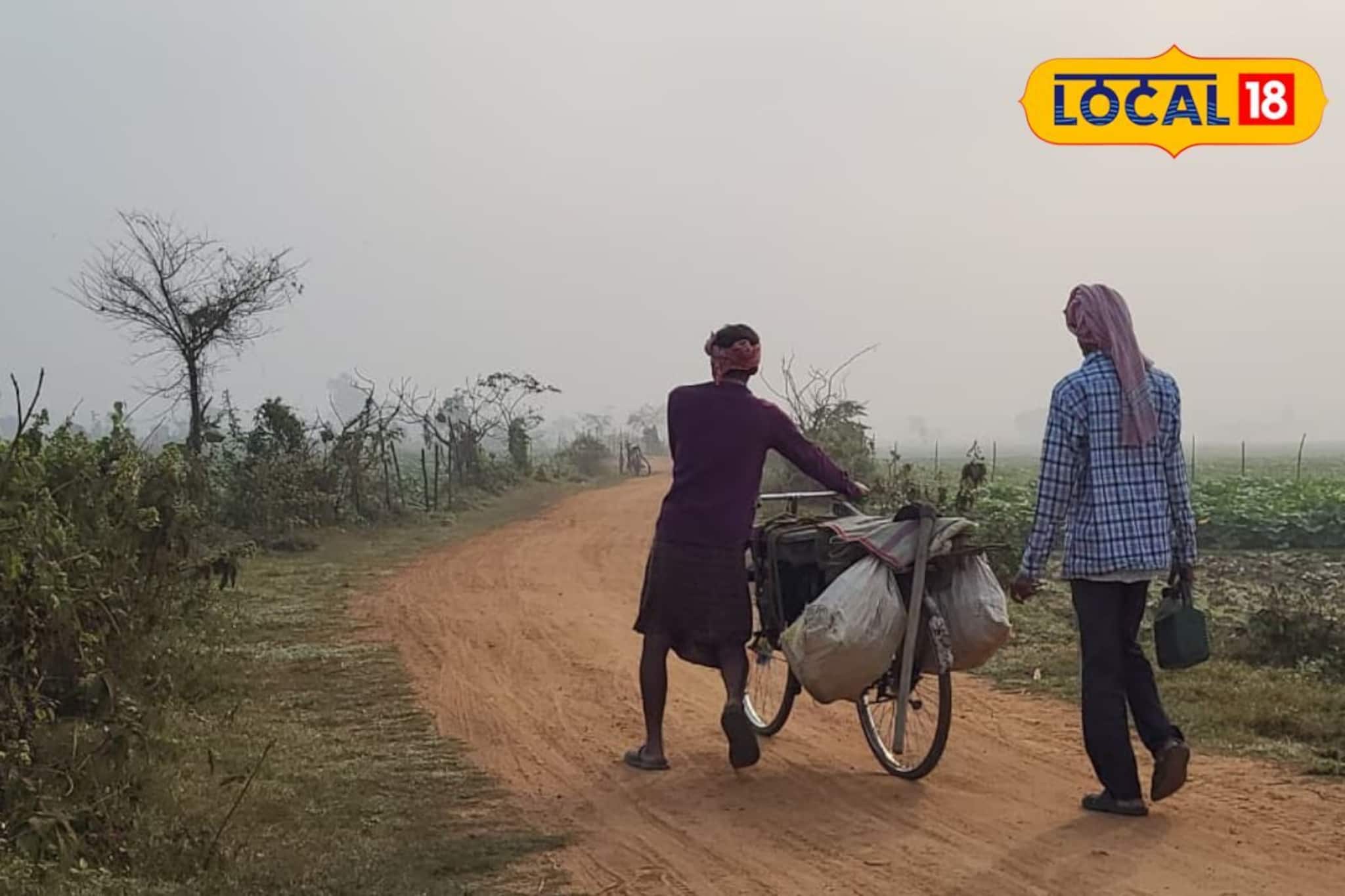সামান্য পারদের পতন, হালকা ঠান্ডা ঝাড়গ্রামে! কেমন থাকবে দিনভর জানালো আবহাওয়া দফতর সামান্য পারদের পতন, হালকা ঠান্ডা ঝাড়গ্রামে! কেমন থাকবে দিনভর জানালো আবহাওয়া দফতর