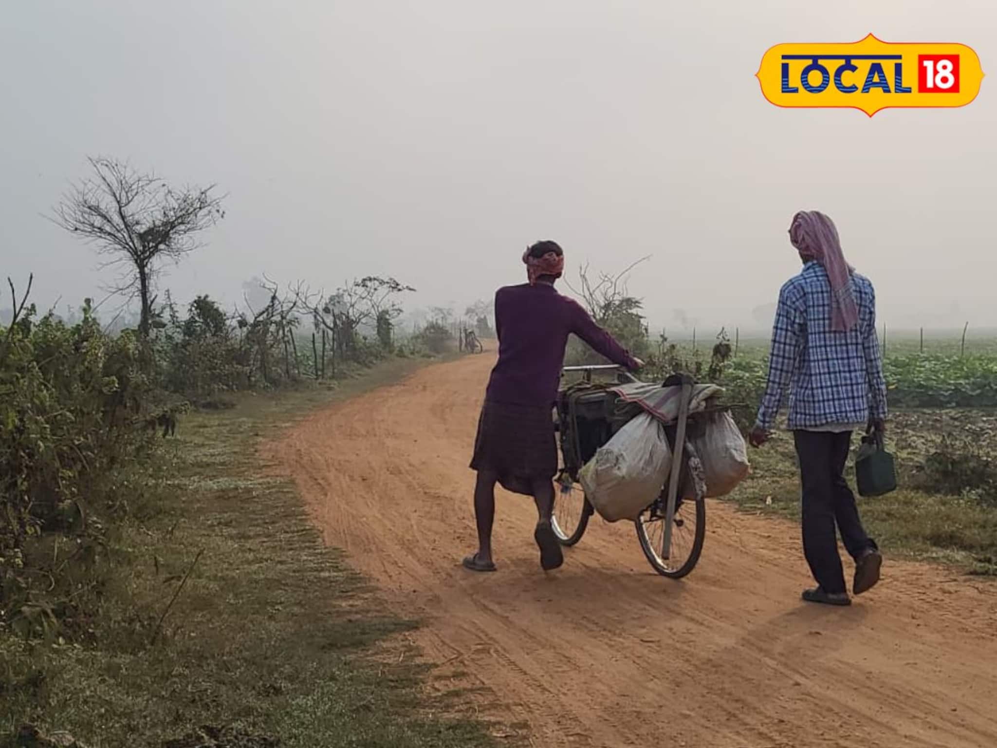সামান্য পারদের পতন, হালকা ঠান্ডা ঝাড়গ্রামে! কেমন থাকবে দিনভর জানালো আবহাওয়া দফতর