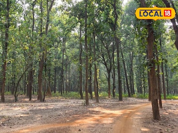 পারদ একই রকম থাকলেও ঝাড়গ্রামে বাড়ছে গরম! কী হতে চলেছে দিনভর জানালো আবহাওয়া দফতর