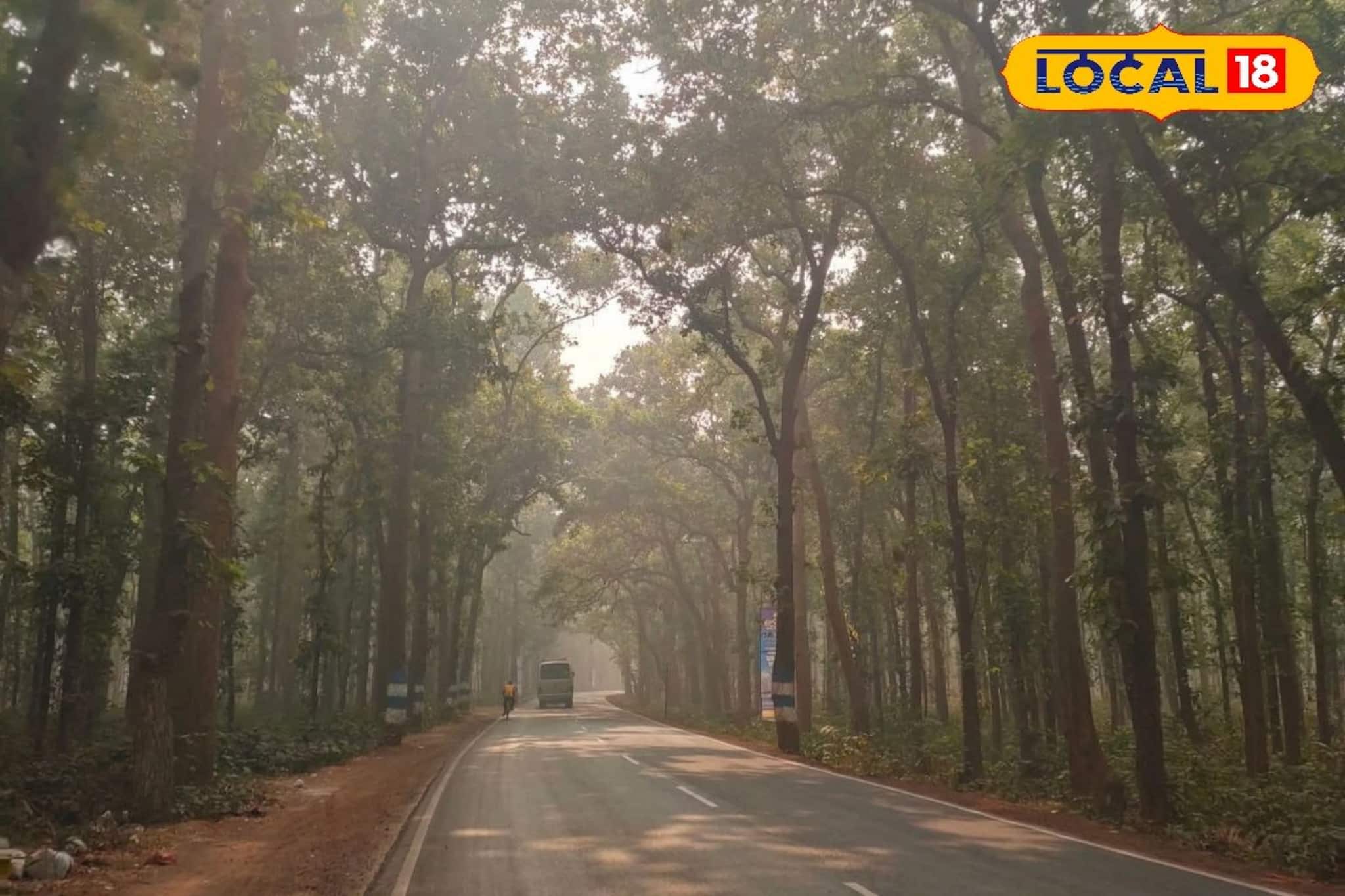 উত্তুরে হাওয়ার দাপট ঝাড়গ্রামে! এক ধাক্কায় নামল পারদ, ফিরল শীতের আমেজ