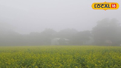 ঝাড়গ্রামের আবহাওয়ার আপডেট