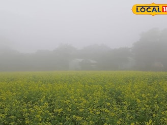 মেঘের আড়ালে রোদ! কী হতে চলেছে জেলায়? ঝাড়গ্রাম নিয়ে এসে গেল আবহাওয়ার মেগা আপডেট