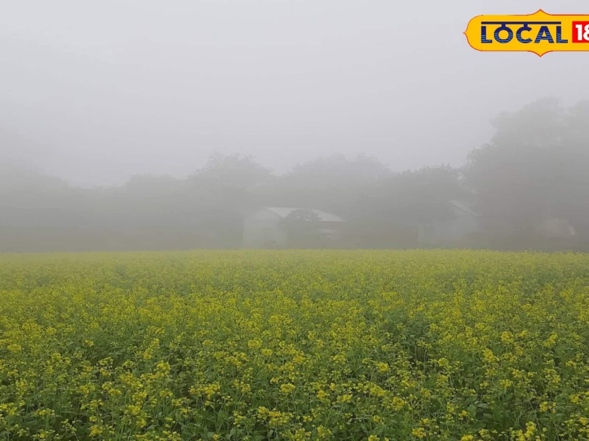 মেঘের আড়ালে রোদ! কী হতে চলেছে জেলায়? ঝাড়গ্রাম নিয়ে এসে গেল আবহাওয়ার মেগা আপডেট