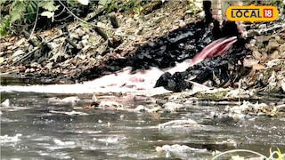 কালনাগিনী নদী দূষণ 