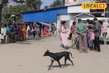 Dog Attack: কাটোয়া হাসপাতালে কুকুরের তাণ্ডব! যাকে সামনে পাচ্ছে তেড়ে আক্রমণ, হিংস্র কামড়ে জখম অন্তত ১০, হাসপাতাল চত্বরে আতঙ্ক