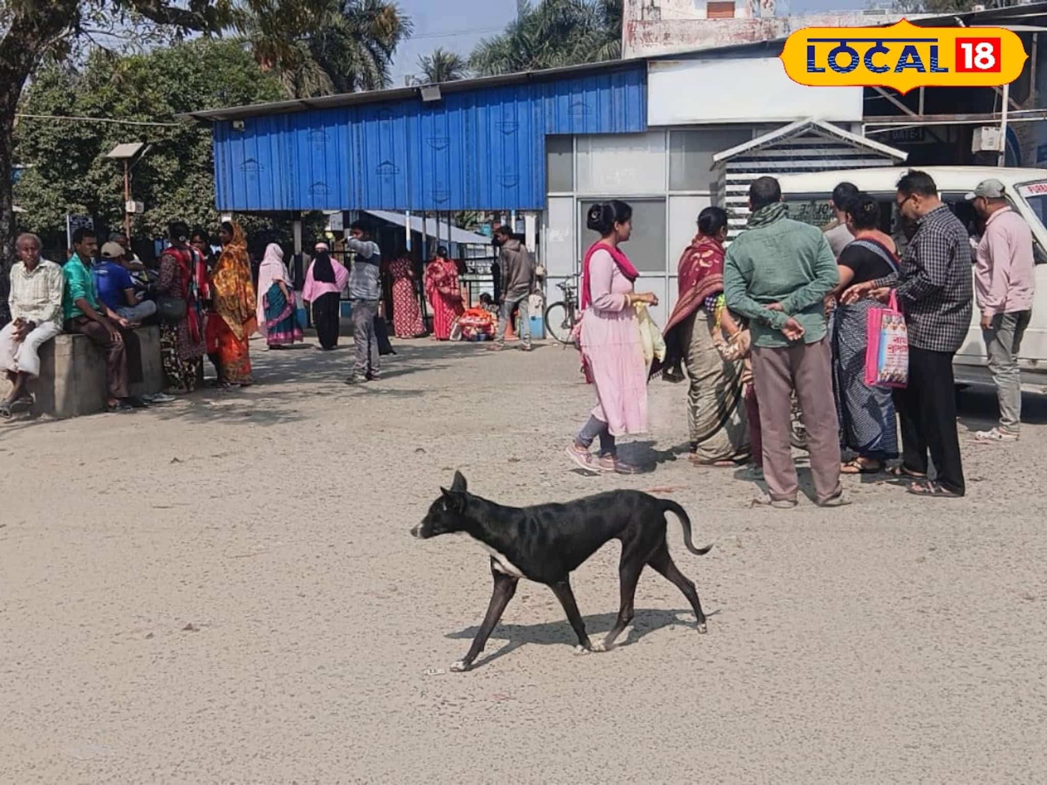 কাটোয়া হাসপাতালে কুকুরের তাণ্ডব! যাকে পাচ্ছে তেড়ে আক্রমণ, হিংস্র কামড়ে জখম অন্তত ১০
