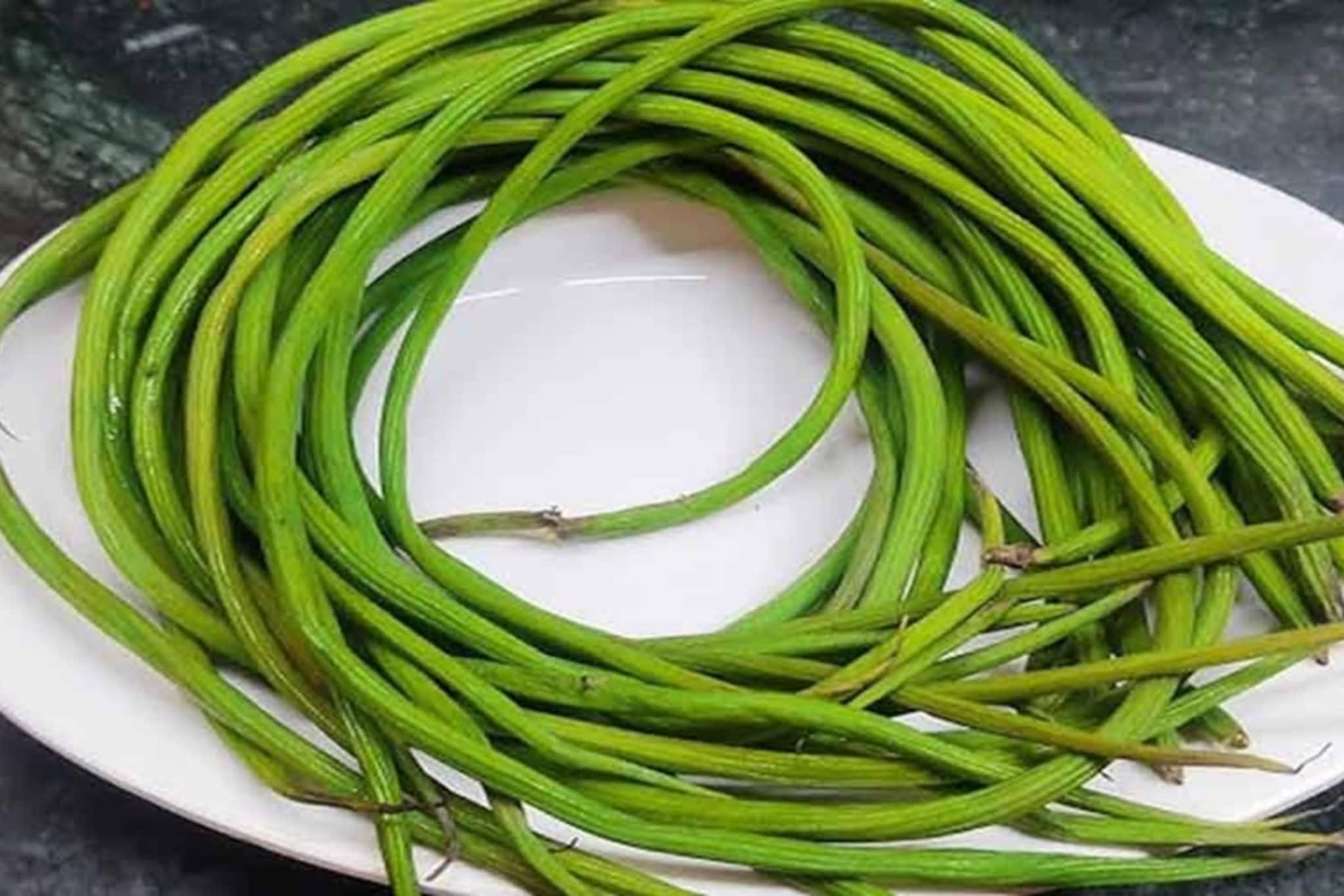 দামি মনে হলেও অ্যান্টি-পক্স কচি সজনে কিনে খান, ওজন রুখে দেয় এই সবজি! উপকারের তালিকা জানুন দামি মনে হলেও অ্যান্টি-পক্স কচি সজনে কিনে খান, ওজন রুখে দেয় এই সবজি! উপকারের তালিকা জানুন