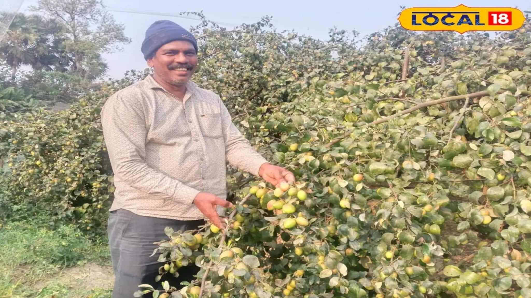 Agriculture News: আধুনিক পদ্ধতি মেনে ‘এই’ চাষ করেই বিপুল লাভবান হচ্ছেন কৃষকরা !