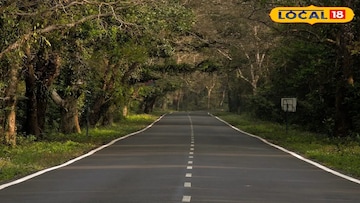 লাটাগুড়ি