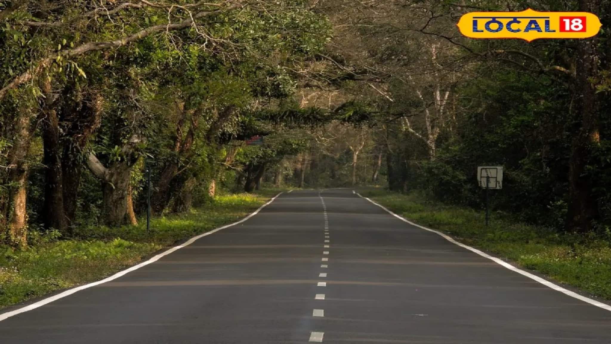 জনপ্রিয় পর্যটন কেন্দ্র লাটাগুড়ি! কিন্তু কেন 'এই' নাম জানেন? অবাক হবেন উত্তর জেনে