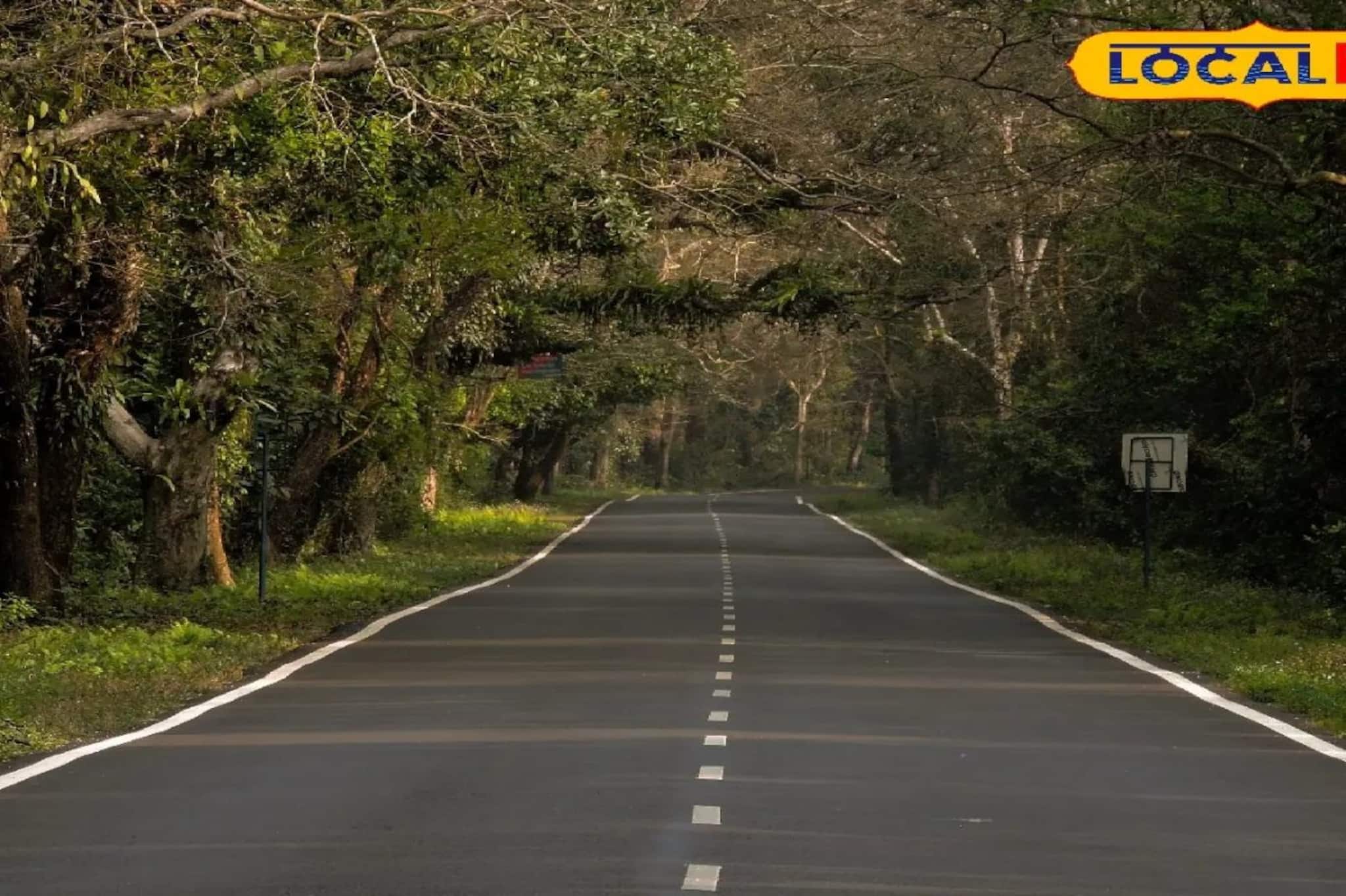 জনপ্রিয় পর্যটন কেন্দ্র লাটাগুড়ি! কিন্তু কেন 'এই' নাম জানেন? অবাক হবেন উত্তর জেনে