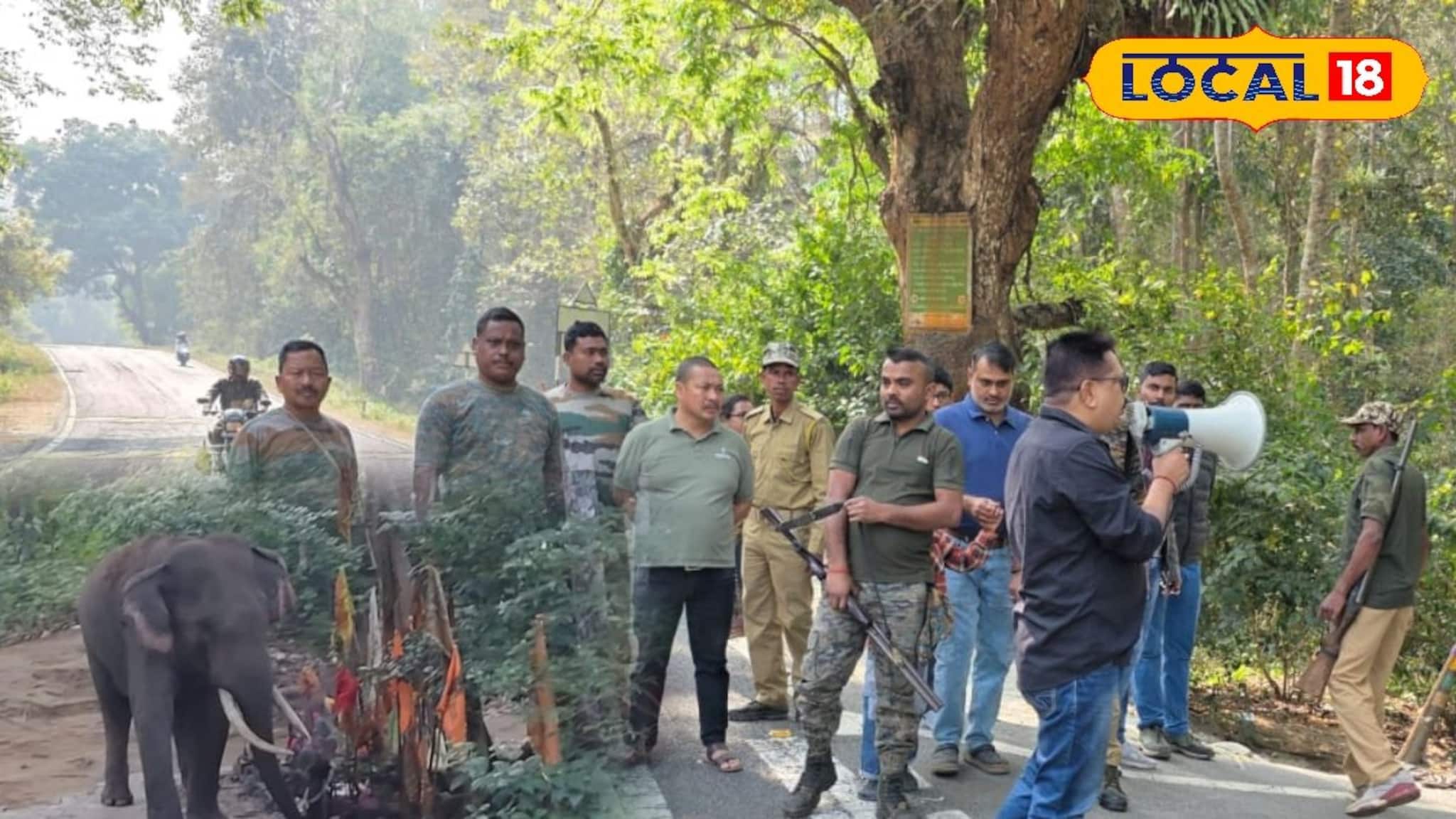 Maha Shivratri 2026: শিবরাত্রিতে লাটাগুড়ির মহাকাল মন্দিরে গিয়ে শিবের মাথায় জল ঢালবেন! সাবধান না হলেই বিপদ, ভক্তদের জন্য সতর্কবার্তা বন দফতরের