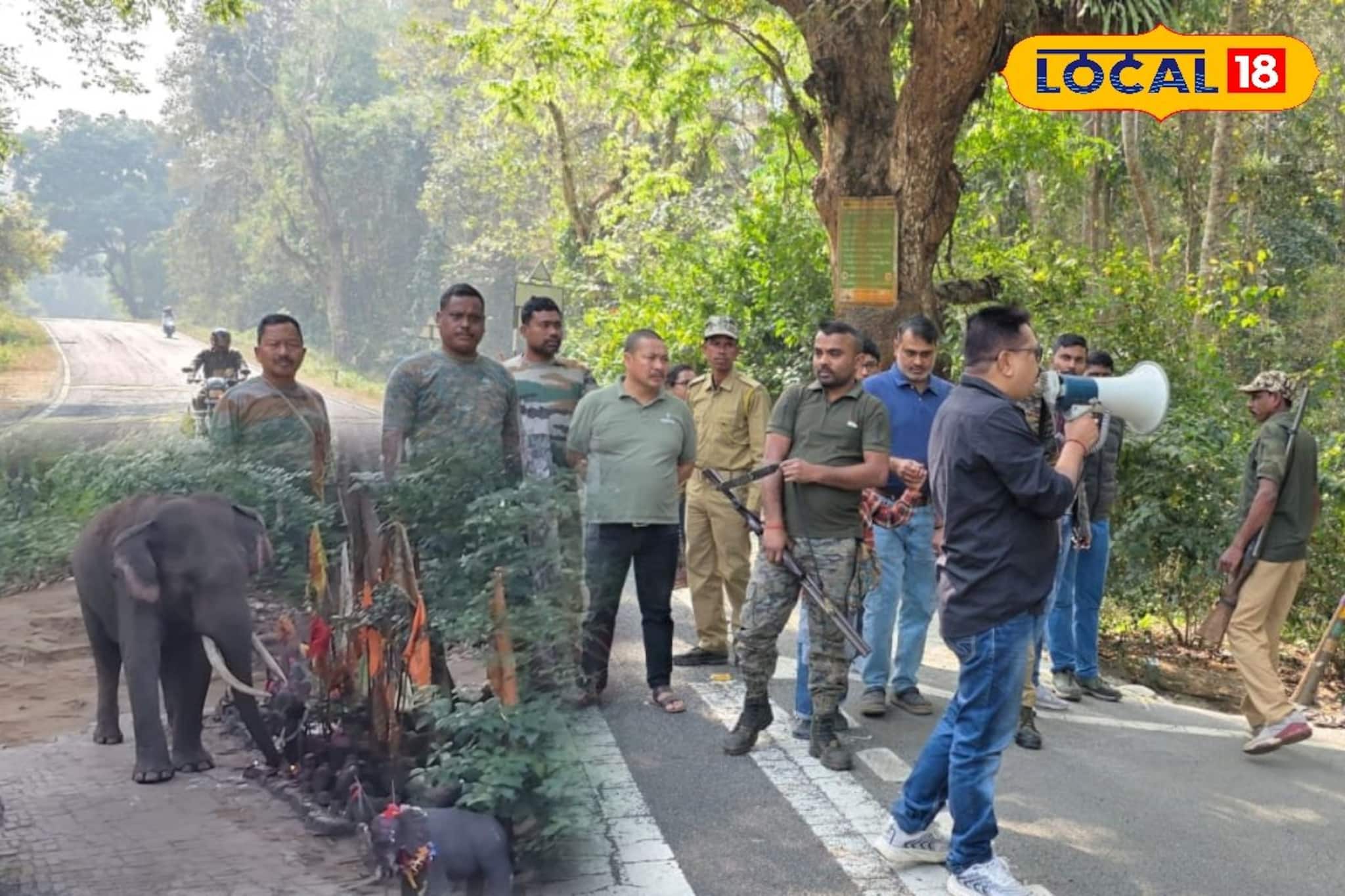 লাটাগুড়ির মহাকাল মন্দির গজরাজের দখলে! শিবরাত্রির আগে ভক্তদের জন্য সতর্কবার্তা বন দফতরের