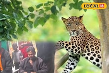 Leopard Attack: চলন্ত বাইকে লেপার্ডের হামলা! জঙ্গল থেকে বেরিয়ে আচমকা ঝাঁপ, আহত দুই মাছ ব্যবসায়ী