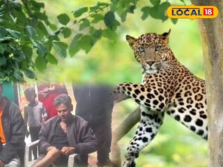 ইনসেটে আহত