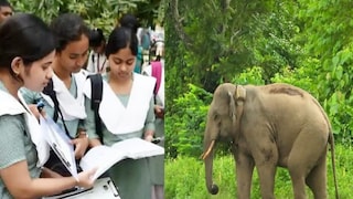 মাধ্যমিকের পথে হাতির ভয় মাধ্যমিকের পথে হাতির ভয়