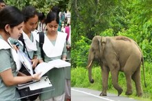 Madhyamik Exam 2026: স্কুলের পথে হামেশাই হাতির ভয়, মাধ্যমিকের দিন পরীক্ষাকেন্দ্রে পৌঁছনোর উদ্যোগ নিল বন দফতর! খুশী পরীক্ষার্থীরা