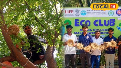 গাছে উঠে পাখির বাসা বাঁধলেন কলেজ পড়ুয়ারা