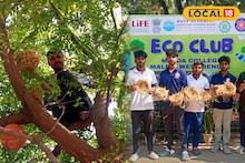 Malda News: কলেজ ক্যাম্পাস তো নয়, যেন জীবন্ত পাখিরালয়! কংক্রিটের জঙ্গলের মাঝে পাখিদের স্বর্গরাজ্য, পরিবেশ রক্ষায় মালদহ কলেজ পড়ুয়াদের দৃষ্টান্ত