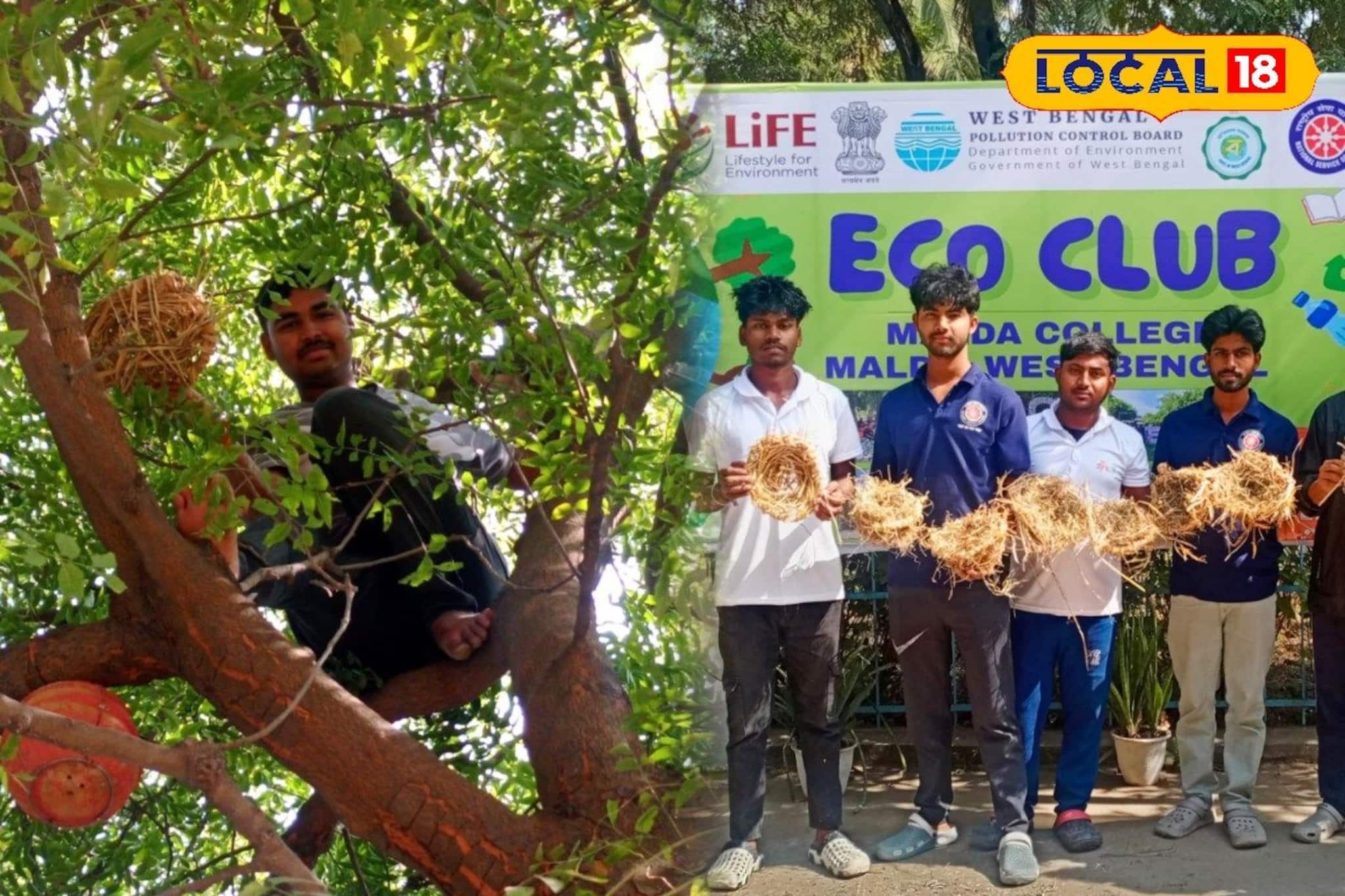 কলেজ ক্যাম্পাস তো নয়, যেন জীবন্ত পাখিরালয়! কংক্রিটের জঙ্গলের মাঝে পাখিদের স্বর্গরাজ্য