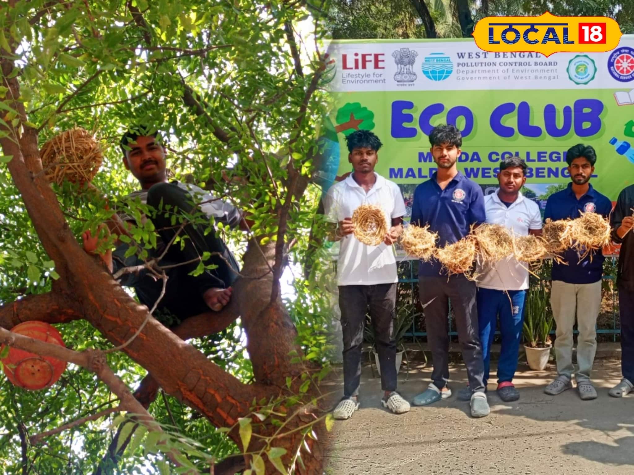 কলেজ ক্যাম্পাস তো নয়, যেন জীবন্ত পাখিরালয়! কংক্রিটের জঙ্গলের মাঝে পাখিদের স্বর্গরাজ্য