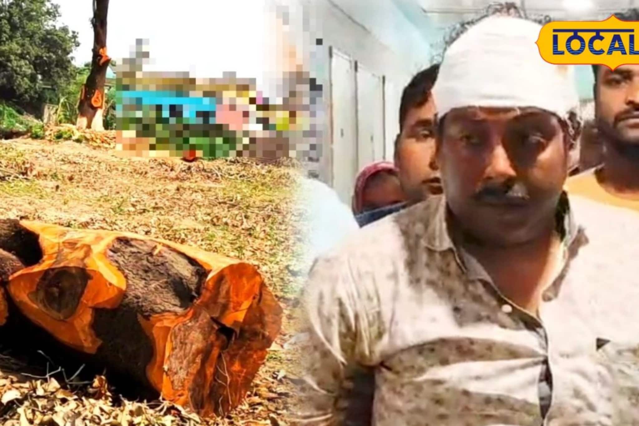 বন দফতরের কর্মতৎপরতাই কাল! মালদহে দুষ্কৃতী হামলায় আহত খোদ আধিকারিক, এলাকায় শোরগোল বন দফতরের কর্মতৎপরতাই কাল! মালদহে দুষ্কৃতী হামলায় আহত খোদ আধিকারিক, এলাকায় শোরগোল