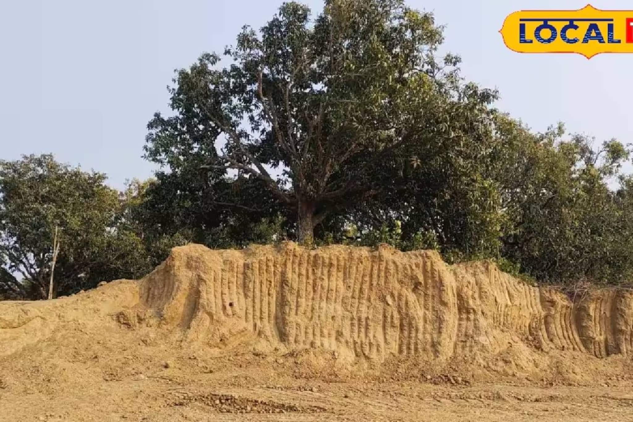 মুছে যাচ্ছে প্রাচীন বাংলার ঐতিহাসিক নিদর্শন! গৌড়ের রাজাদের আমলের উঁচু গড় এখন যেন সমতল