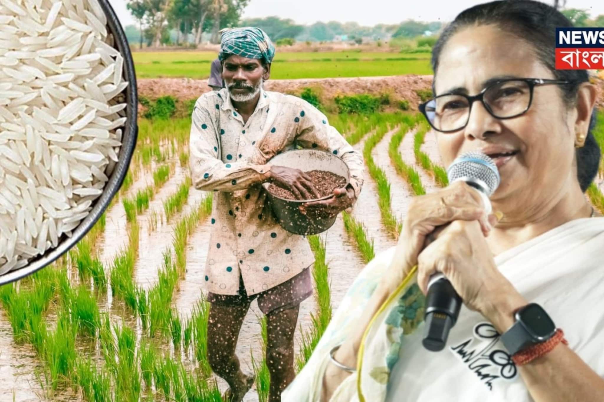 মমতার 'মাটির সৃষ্টি'-কে রাষ্ট্রপুঞ্জের স্বীকৃতি! গোবিন্দভোগ-তুলাইপাঞ্জিকে হেরিজেট তকমা মমতার 'মাটির সৃষ্টি'-কে রাষ্ট্রপুঞ্জের স্বীকৃতি! গোবিন্দভোগ-তুলাইপাঞ্জিকে হেরিজেট তকমা