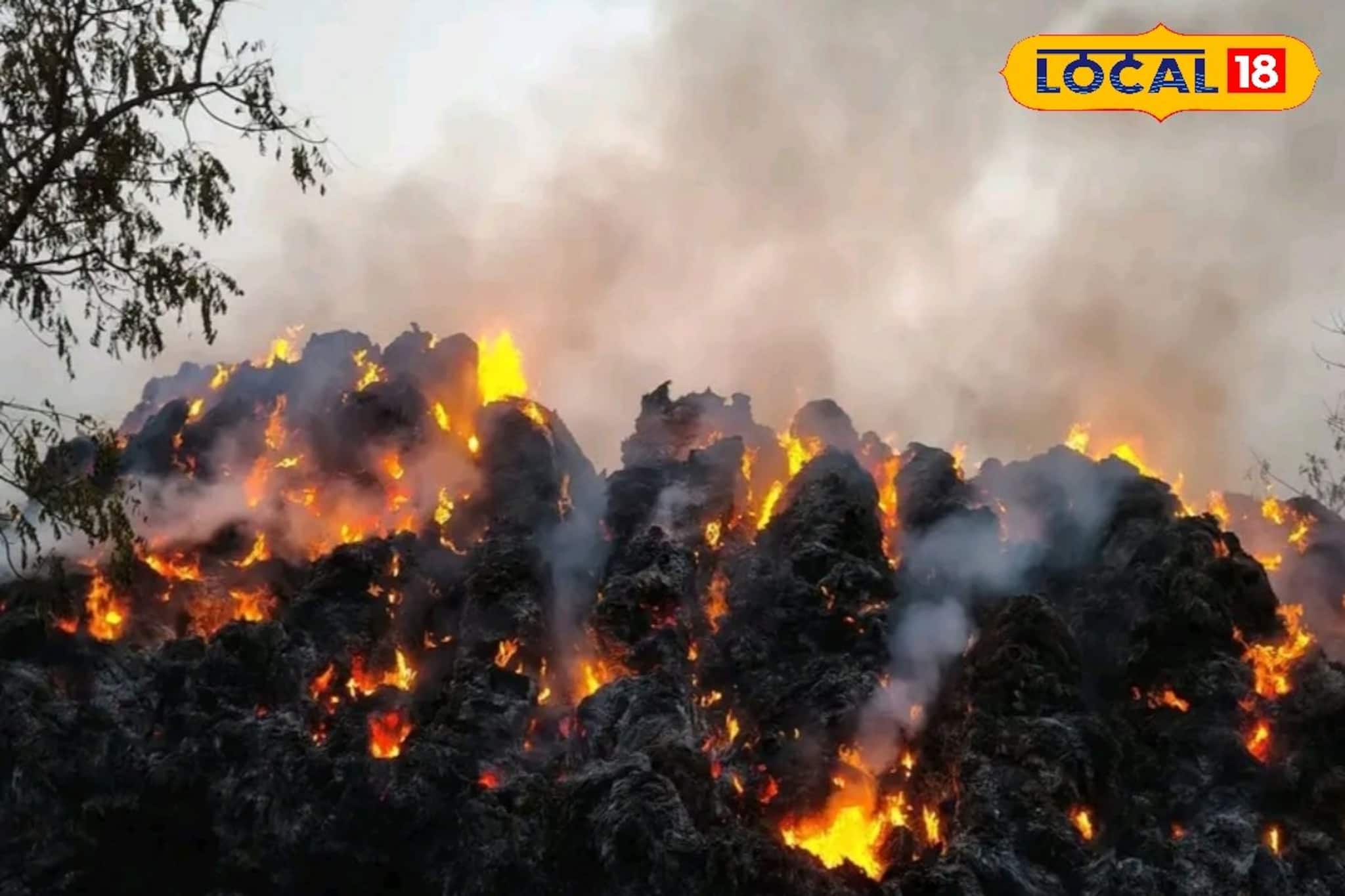 পাথরপ্রতিমায় ভয়াবহ অগ্নিকাণ্ড! প্রত্যন্ত দ্বীপাঞ্চলে পৌঁছতে ব্যর্থ দমকল, ঘটনাস্থলের ছবি