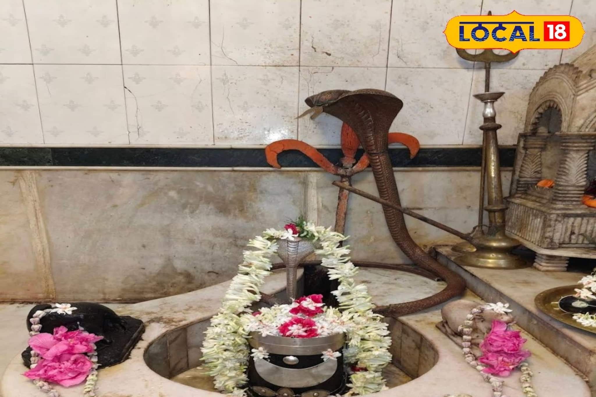 অগ্রহায়ণে নয় মাঘ মাসে নবান্ন উৎসব! বড়াশির শিবমন্দিরে নতুন ফসল নিবেদন, পুণ্যার্থীদের ভিড়